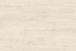 Ламинат Haro Tritty 100 4V ДУБ ЭМИЛИЯ БЕЛЫЙ 538689 фото  | FLOORDEALER